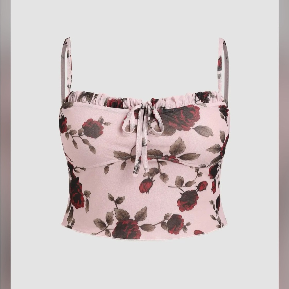 Cider Floral Mesh Knotted Crop Top
